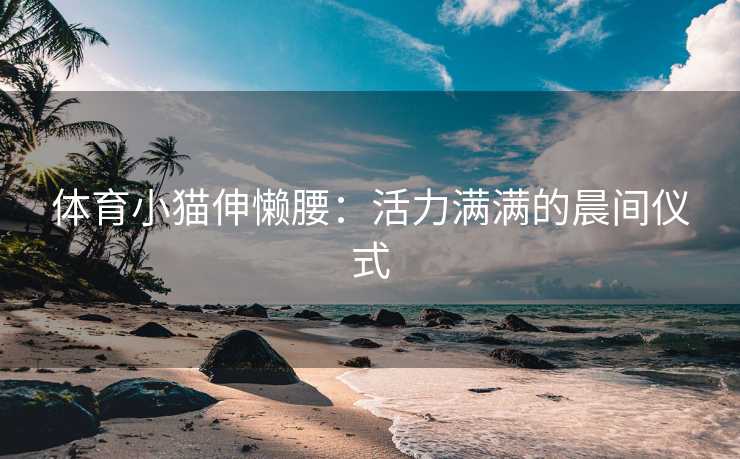 体育小猫伸懒腰：活力满满的晨间仪式