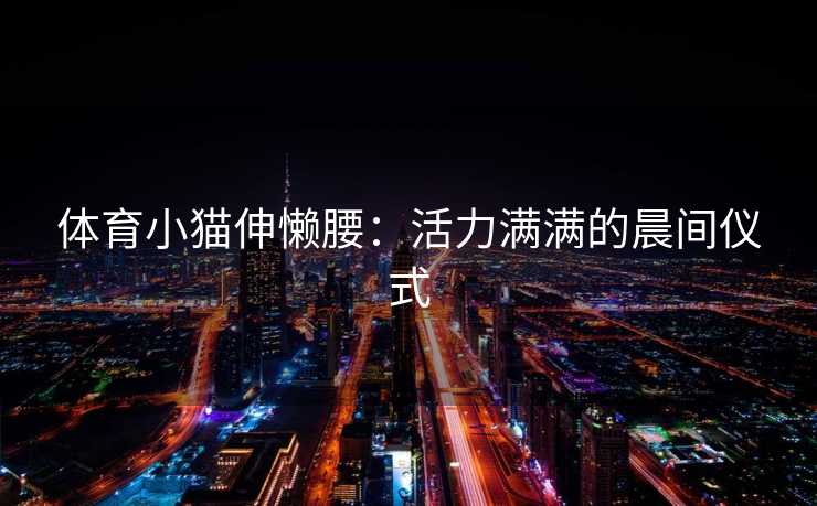 体育小猫伸懒腰：活力满满的晨间仪式