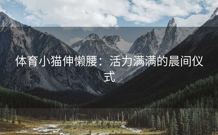 体育小猫伸懒腰：活力满满的晨间仪式