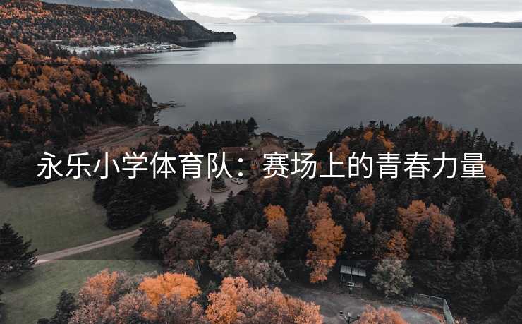 永乐小学体育队：赛场上的青春力量