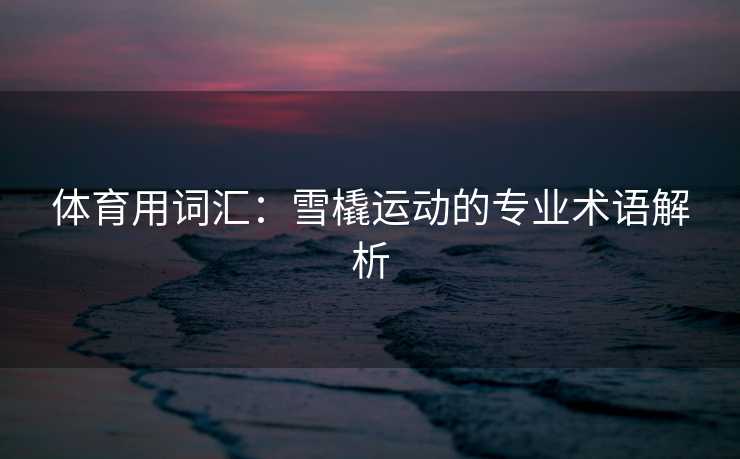 体育用词汇：雪橇运动的专业术语解析