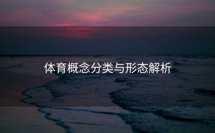 体育概念分类与形态解析