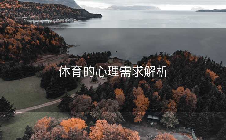 体育的心理需求解析