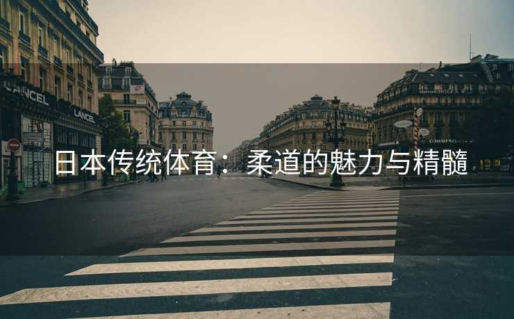 日本传统体育：柔道的魅力与精髓