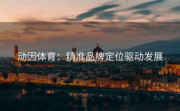 动因体育：精准品牌定位驱动发展