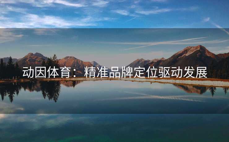 动因体育：精准品牌定位驱动发展