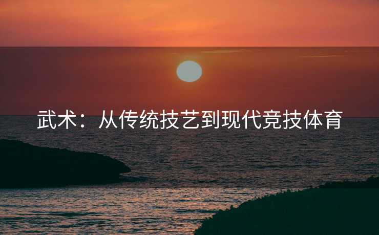 武术：从传统技艺到现代竞技体育