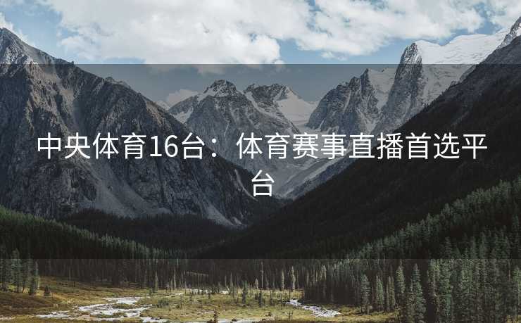 中央体育16台：体育赛事直播首选平台