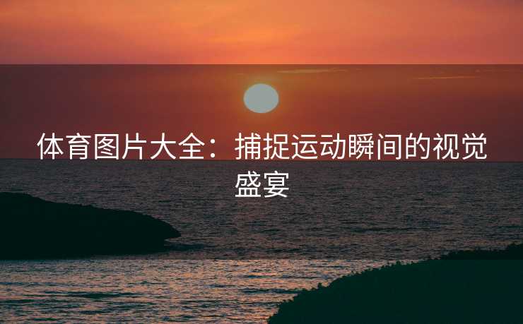 体育图片大全：捕捉运动瞬间的视觉盛宴