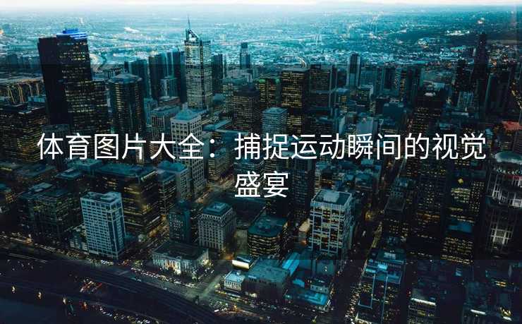 体育图片大全：捕捉运动瞬间的视觉盛宴