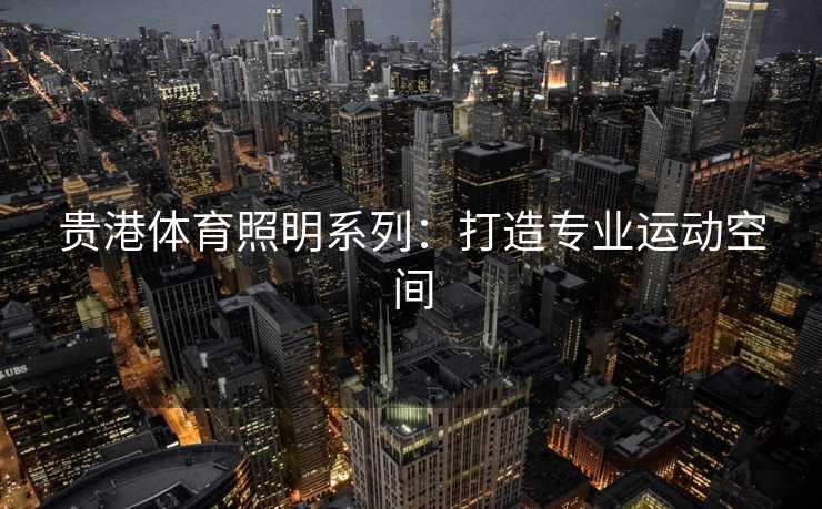贵港体育照明系列：打造专业运动空间