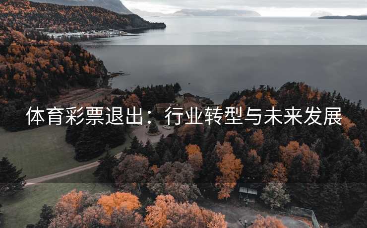 体育彩票退出：行业转型与未来发展