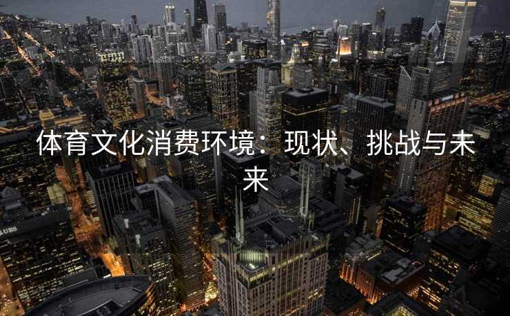 体育文化消费环境：现状、挑战与未来