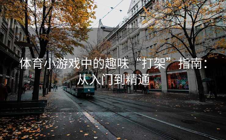 体育小游戏中的趣味“打架”指南：从入门到精通
