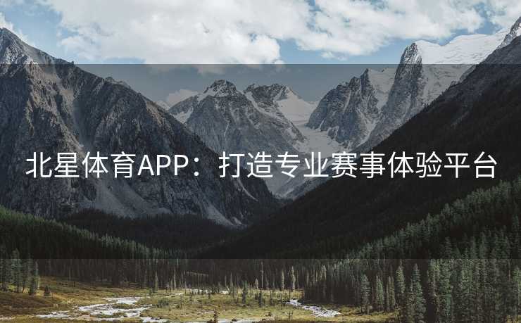 北星体育APP：打造专业赛事体验平台
