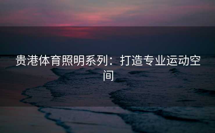 贵港体育照明系列：打造专业运动空间