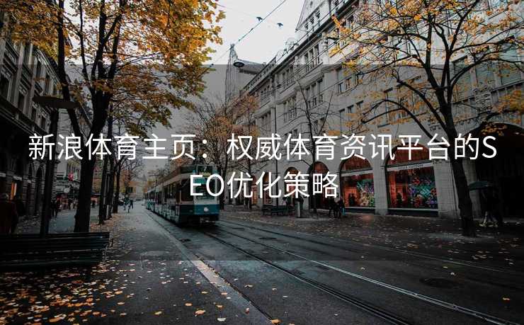 新浪体育主页：权威体育资讯平台的SEO优化策略
