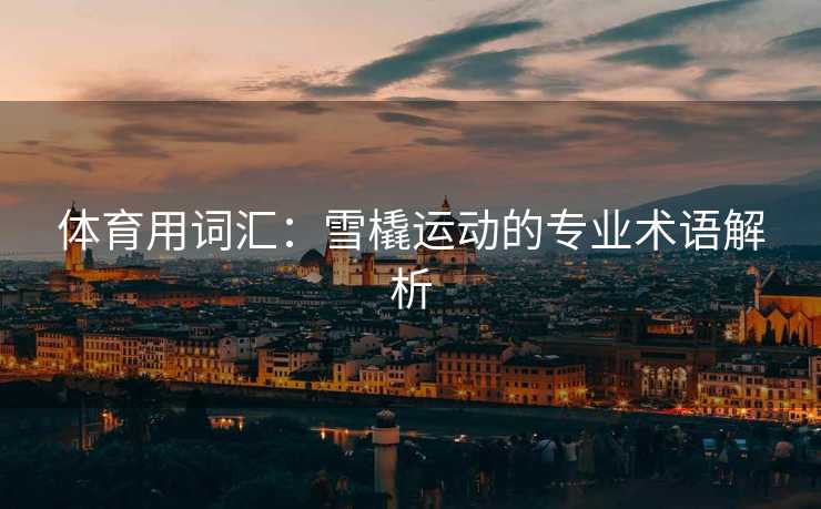 体育用词汇：雪橇运动的专业术语解析