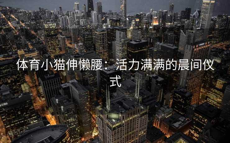 体育小猫伸懒腰：活力满满的晨间仪式