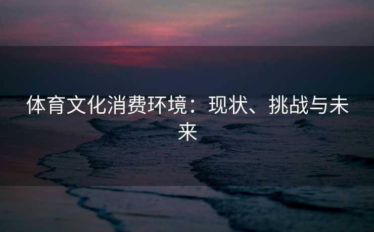 体育文化消费环境：现状、挑战与未来