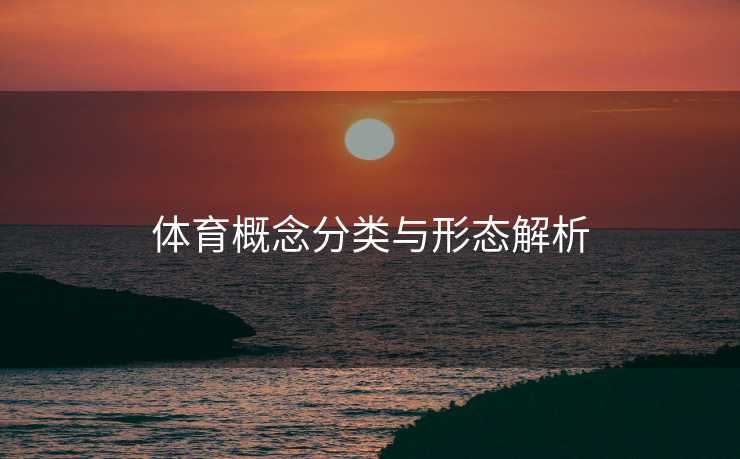 体育概念分类与形态解析