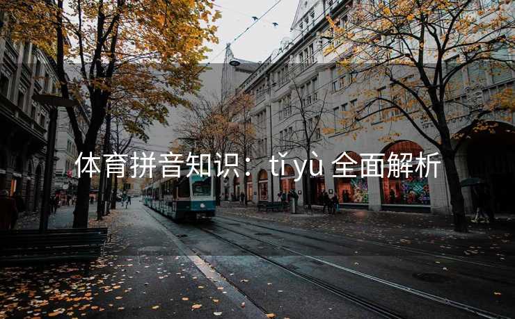 体育拼音知识：tǐ yù 全面解析
