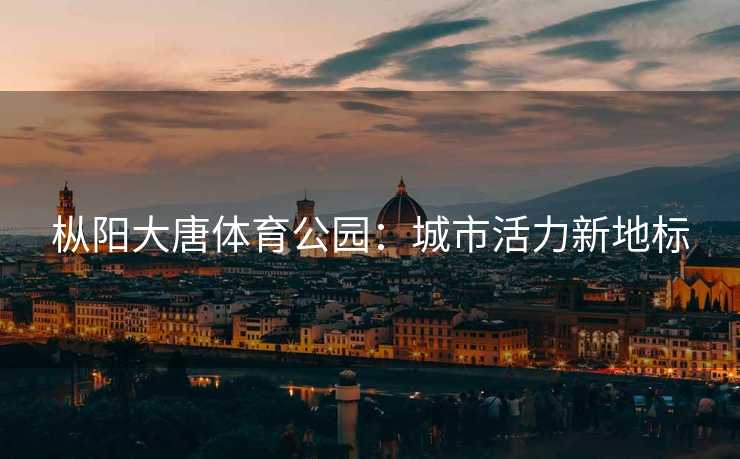 枞阳大唐体育公园：城市活力新地标