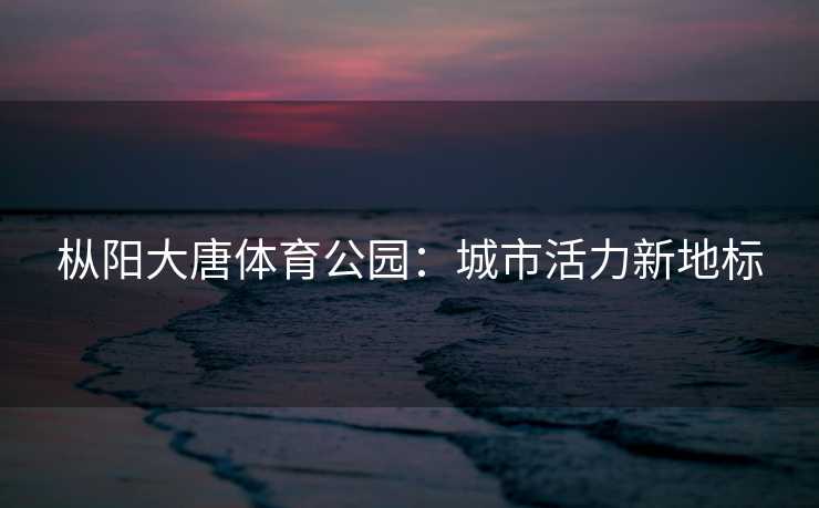 枞阳大唐体育公园：城市活力新地标