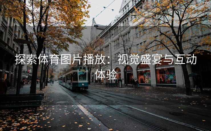 探索体育图片播放：视觉盛宴与互动体验