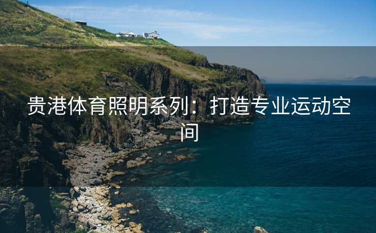 贵港体育照明系列：打造专业运动空间