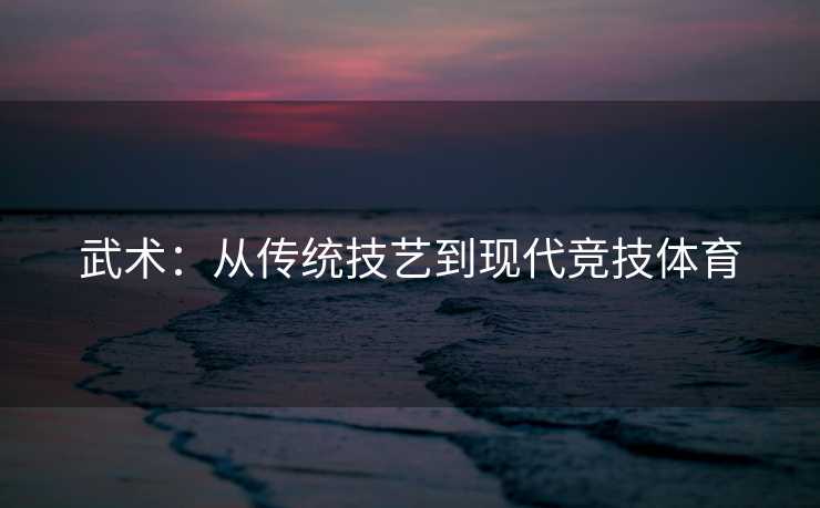 武术：从传统技艺到现代竞技体育