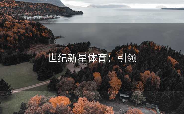 世纪新星体育：引领