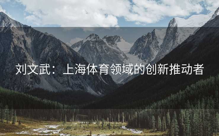 刘文武：上海体育领域的创新推动者