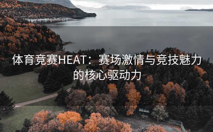 体育竞赛HEAT：赛场激情与竞技魅力的核心驱动力