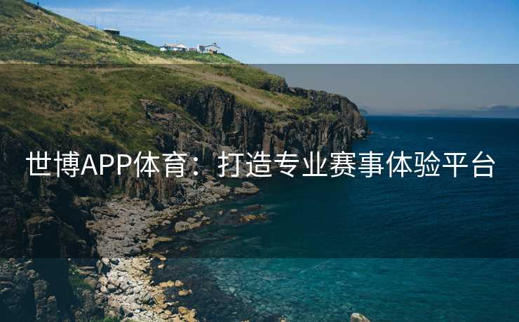 世博APP体育：打造专业赛事体验平台