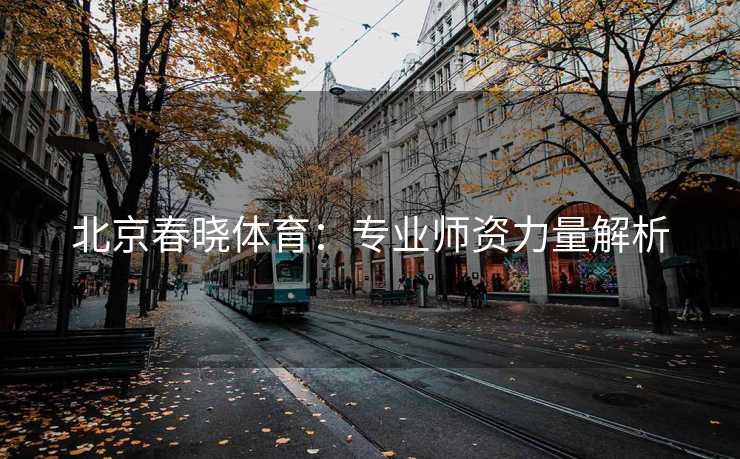 北京春晓体育：专业师资力量解析