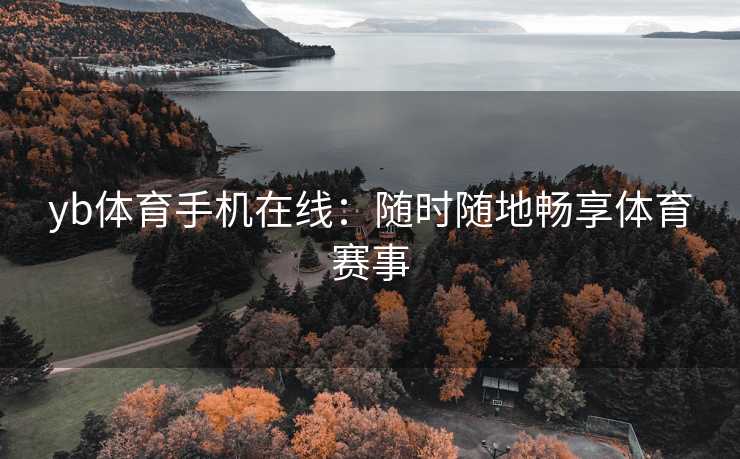 yb体育手机在线：随时随地畅享体育赛事