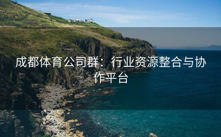 成都体育公司群：行业资源整合与协作平台