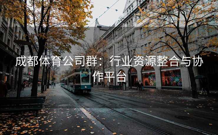 成都体育公司群：行业资源整合与协作平台