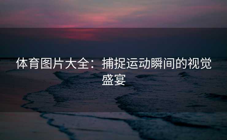 体育图片大全：捕捉运动瞬间的视觉盛宴