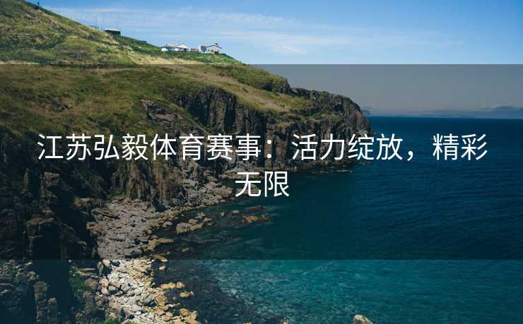 江苏弘毅体育赛事：活力绽放，精彩无限