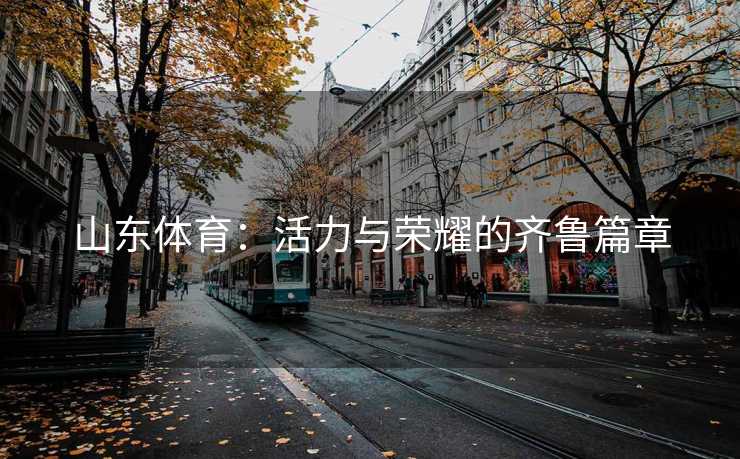 山东体育：活力与荣耀的齐鲁篇章