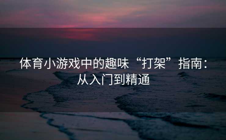 体育小游戏中的趣味“打架”指南：从入门到精通