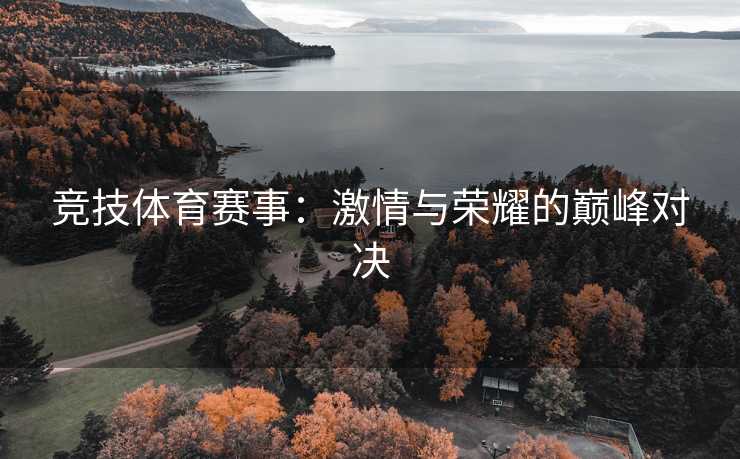 竞技体育赛事：激情与荣耀的巅峰对决