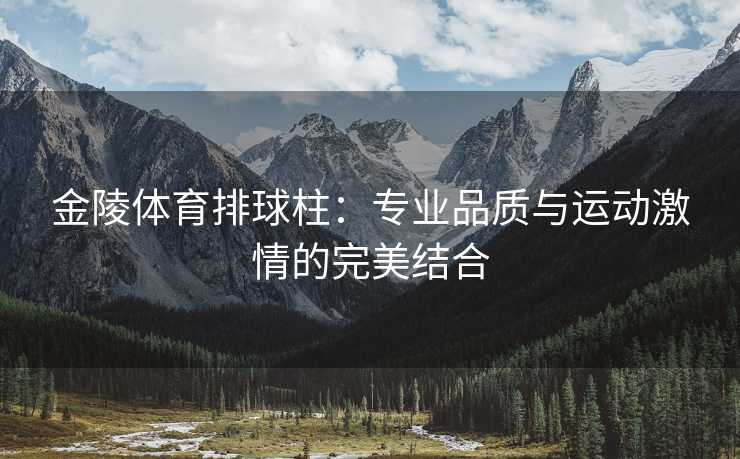 金陵体育排球柱：专业品质与运动激情的完美结合