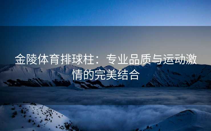 金陵体育排球柱：专业品质与运动激情的完美结合