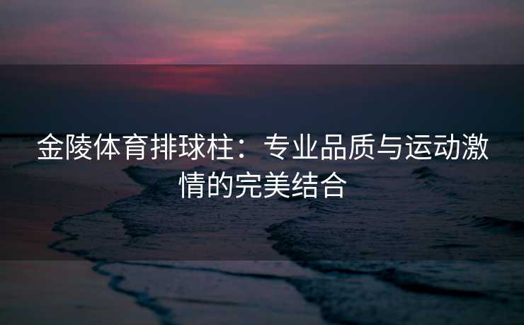 金陵体育排球柱：专业品质与运动激情的完美结合