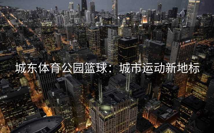 城东体育公园篮球：城市运动新地标