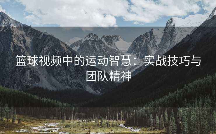篮球视频中的运动智慧：实战技巧与团队精神
