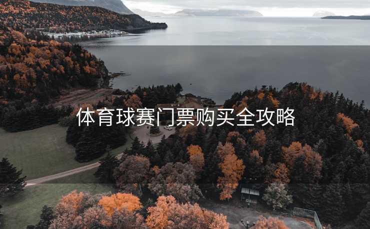体育球赛门票购买全攻略
